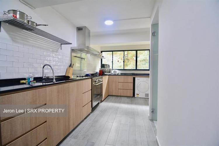 Blk 10 Holland Avenue (Queenstown), HDB 4 Rooms #177178152